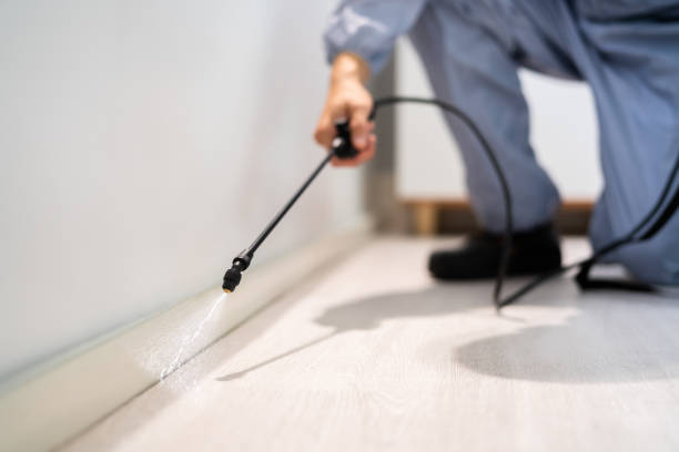 Licensed Pest Control service in Wilson-Conococheague, MD - Nex Pest Control