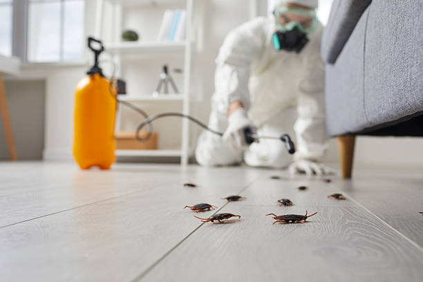 Trusted Fumigation Services service in Wilson-Conococheague, MD - Nex Pest Control